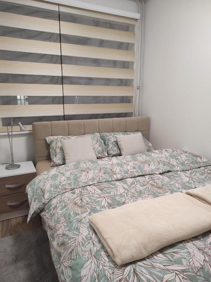 Apartman Stanisic パレ エクステリア 写真