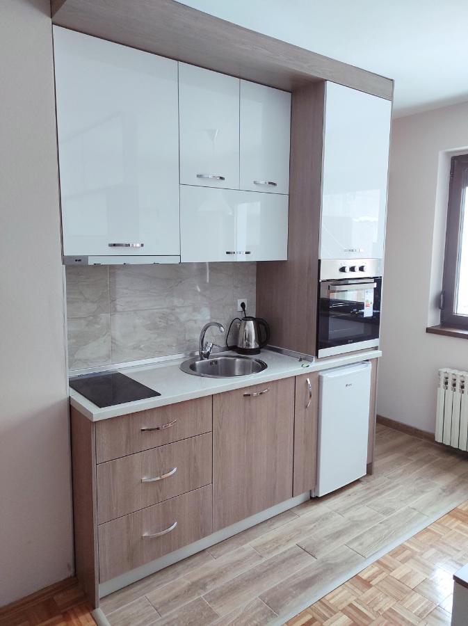 Apartman Stanisic パレ エクステリア 写真