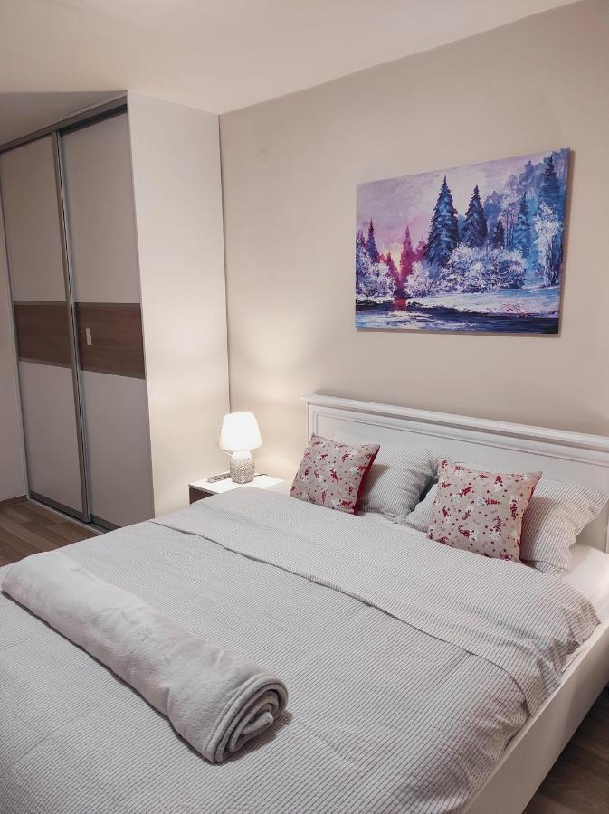 Apartman Stanisic パレ エクステリア 写真